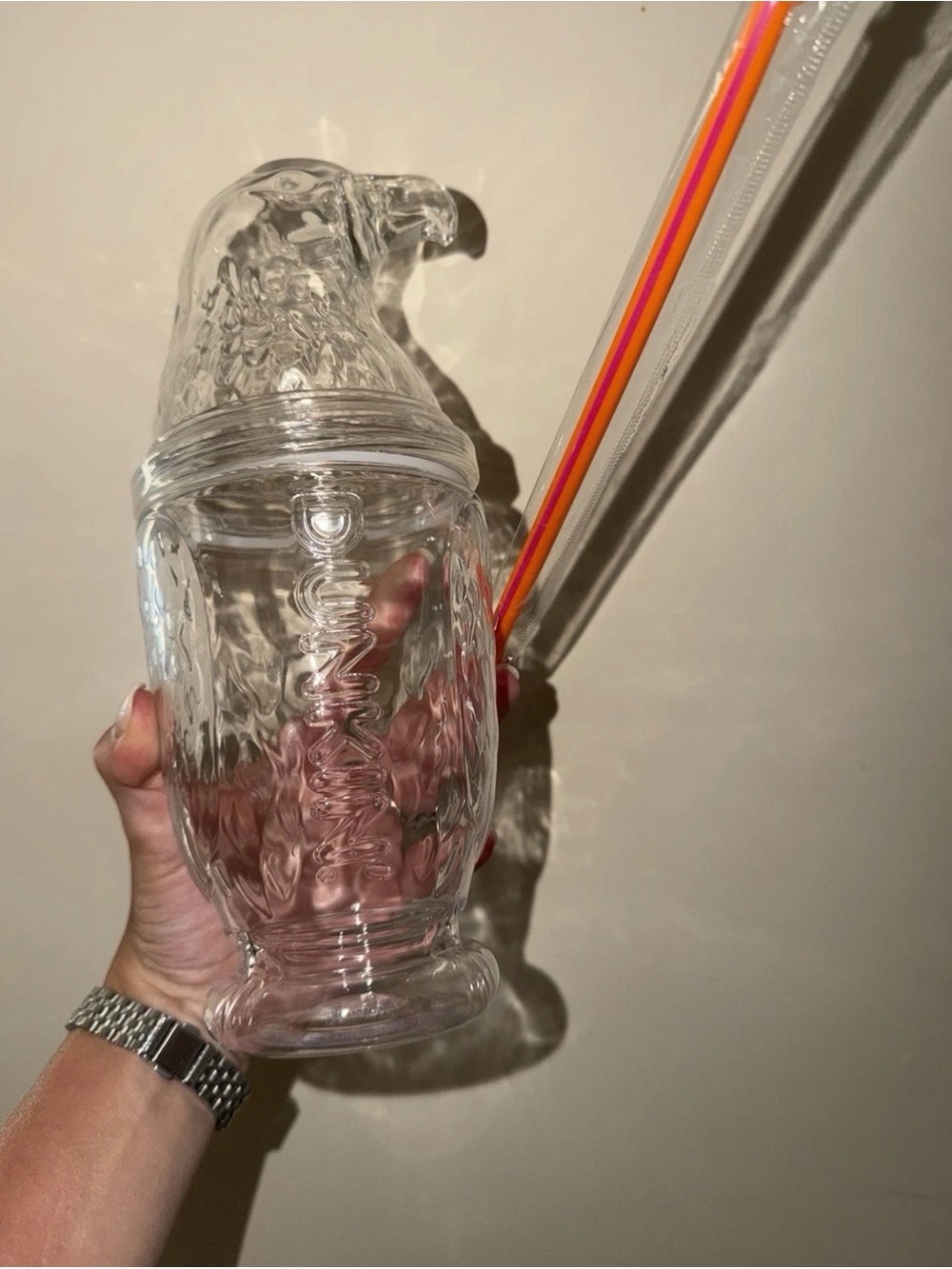 Clear Parrot-Shaped Drinking Tumbler with Multicolor Straw
